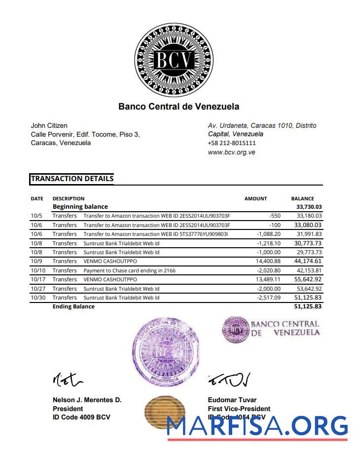 Blank Venezuela Banco Central de Venezuela bank statement excel download for verification